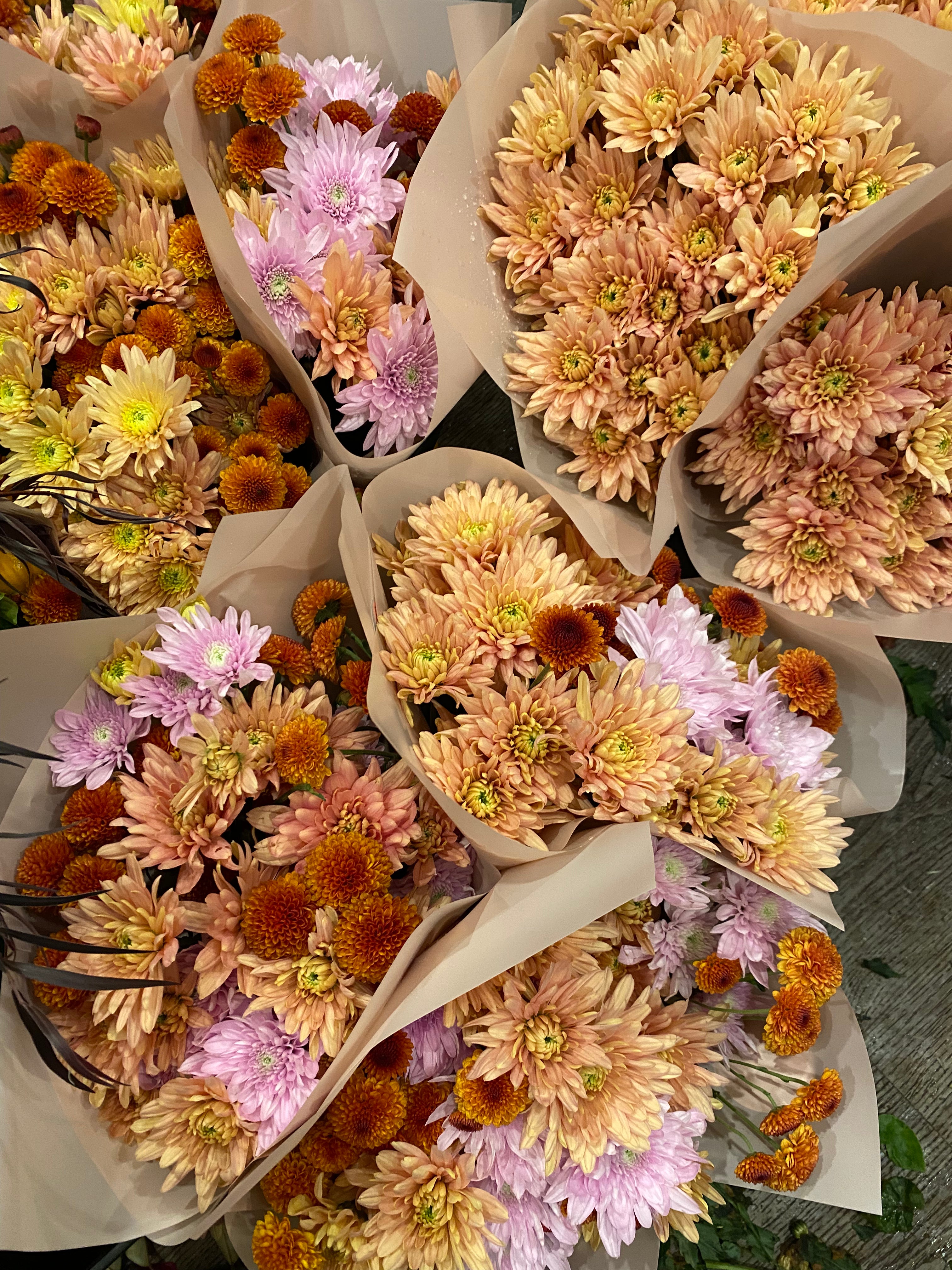 Mother's Day Market Special