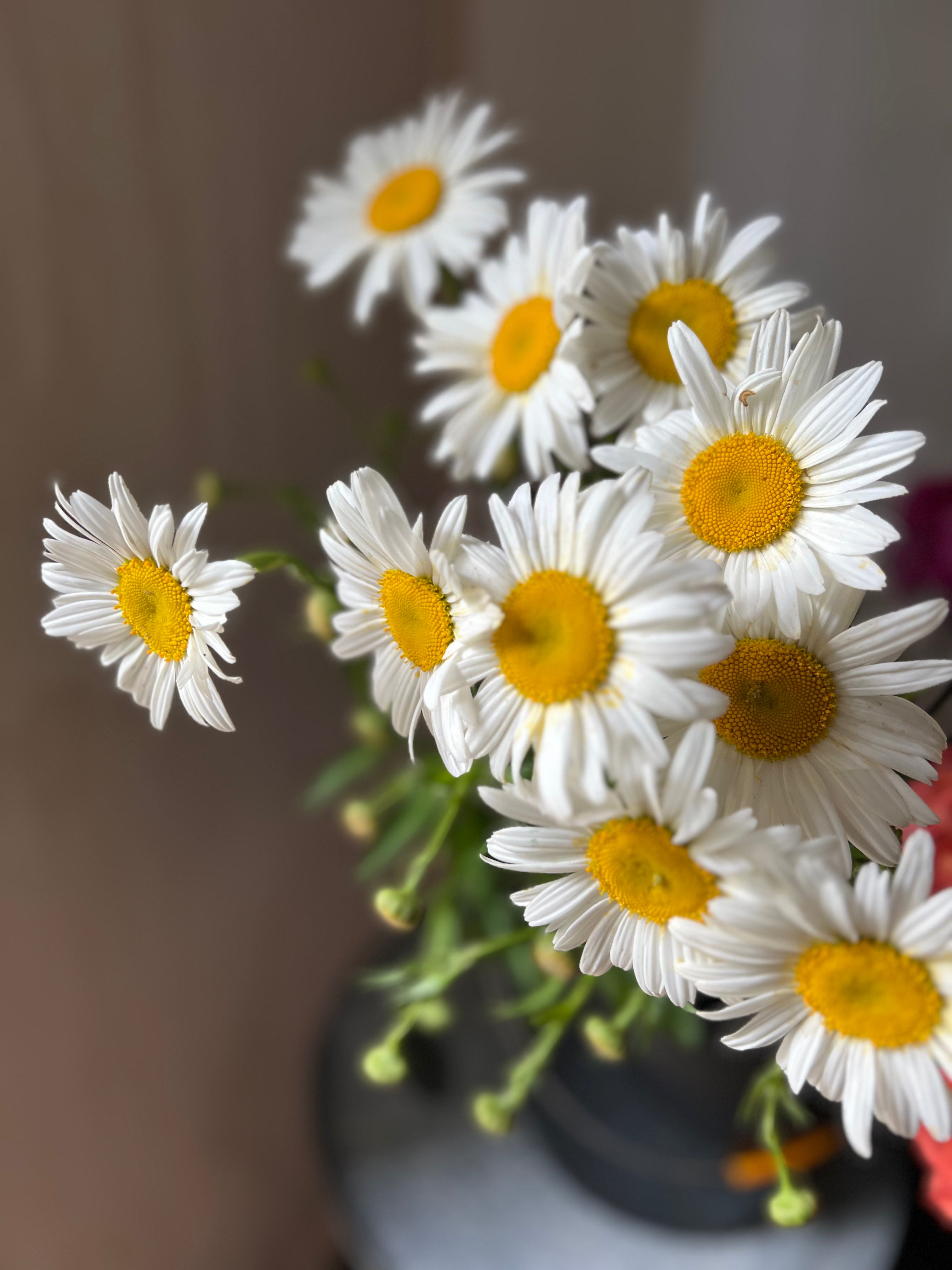 Cemetery Posy - for your heavenly loved ones