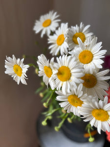 Cemetery Posy - for your heavenly loved ones